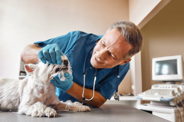 Best Emergency Care for Gum Disease in Hodgenville, KY